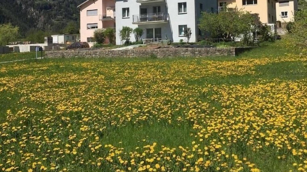 Li Curt Apartment | Ferienwohnung/app. für 2 Gäste mit 50m² in Poschiavo