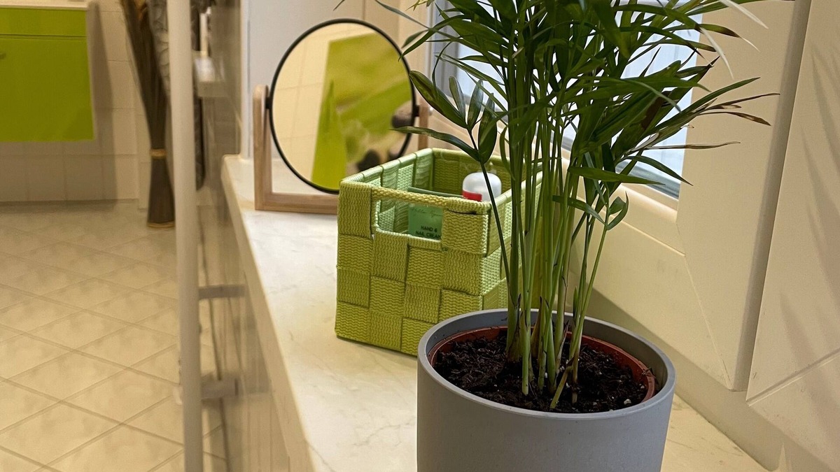 Freiberg Apartment | Ferienwohnung/app. für 3 Gäste mit 60m² in Freiberg