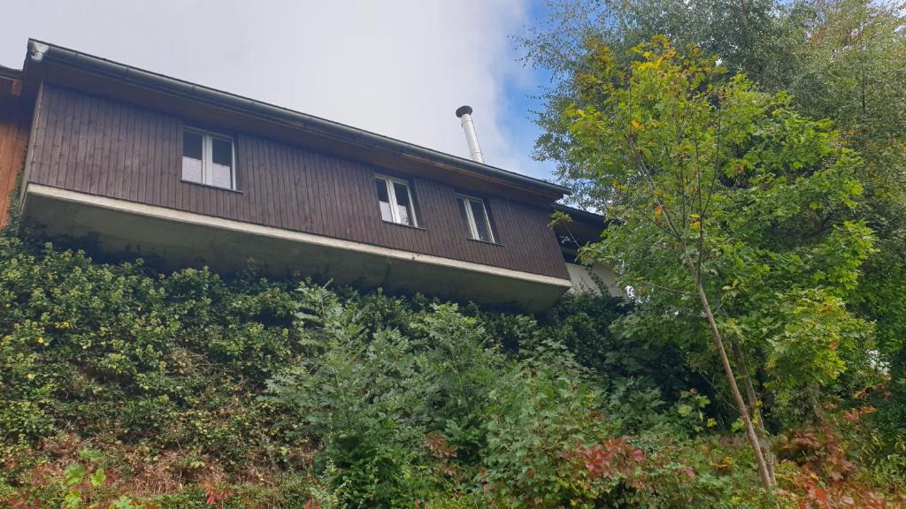 Wambach Apartment | Ferienwohnung auf dem Bückle