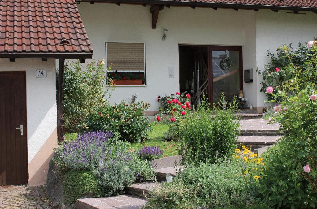 Weissensberg Apartment | Ferienwohnung Ausblick
