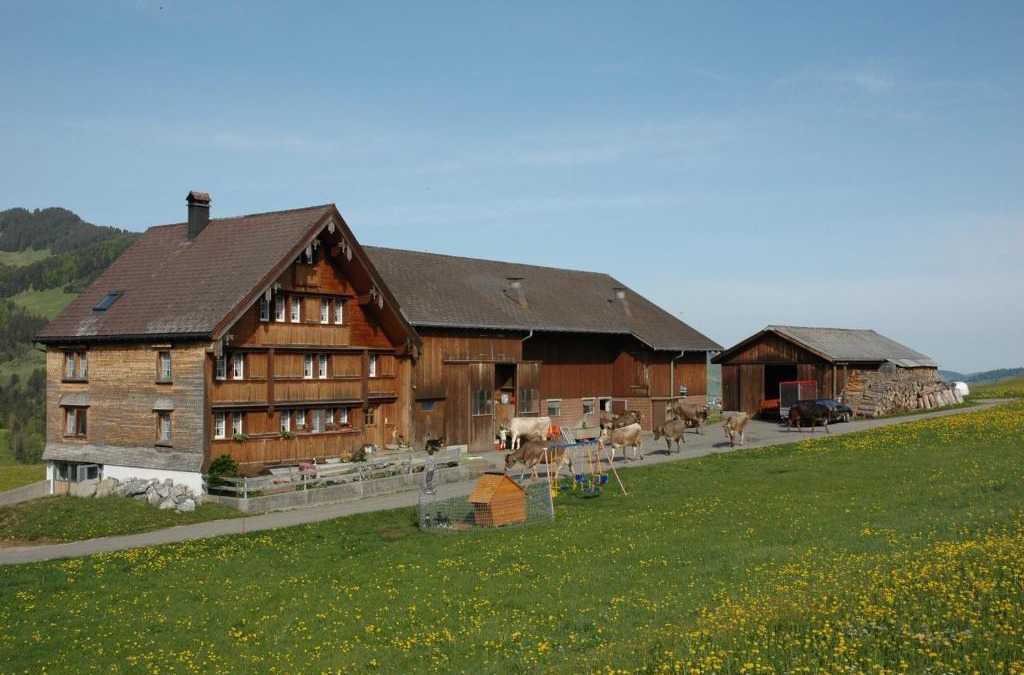 Weissbad Apartment | Ferienwohnung Brülisauer