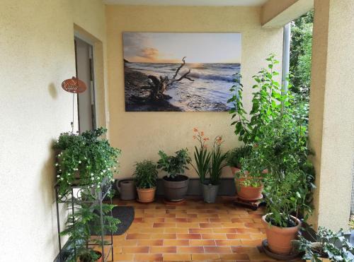 Rostock Apartment | Ferienwohnung Central