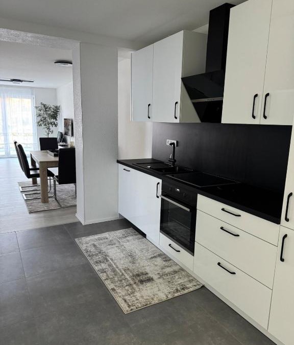 Neukirch Apartment | Ferienwohnung Colak