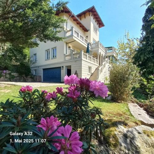 Wilkau-Haßlau Apartment | Ferienwohnung Dennstedt