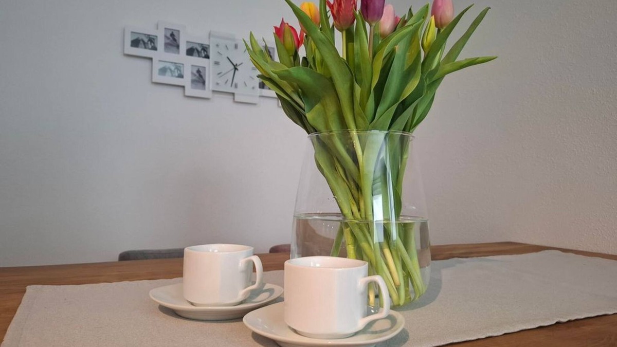 Schwaz Apartment | Ferienwohnung Fam. Zeiger - Holiday apartment family Zeiger