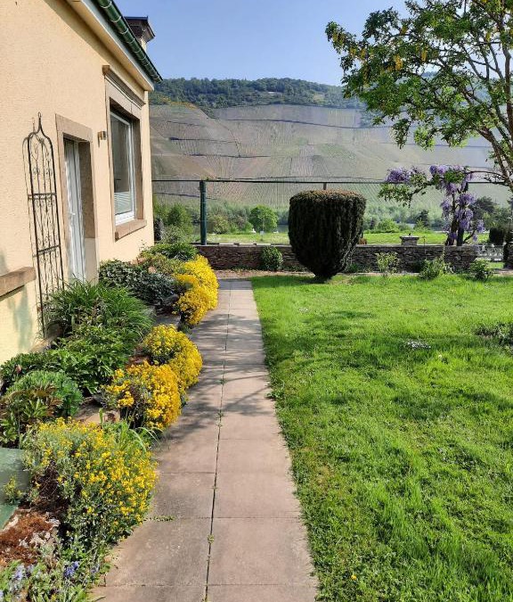 Wehlen Apartment | Ferienwohnung Gartenblick