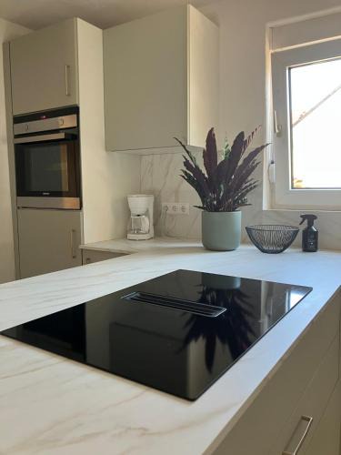 Steinweiler Apartment | Ferienwohnung im Denkmal