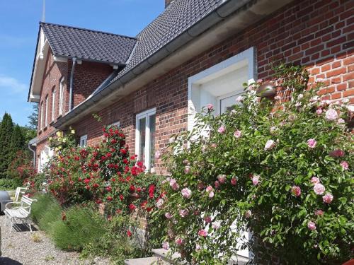 Stoltebuell Apartment | Ferienwohnung in Stoltebüll mit Kleiner Terrasse