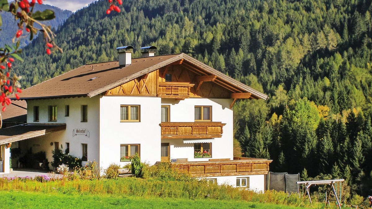 Trins Apartment | Ferienwohnung in Trins
