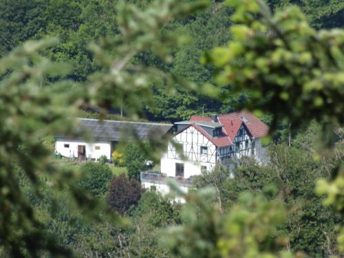 Waldbreitbach Apartment | Ferienwohnung In Waldbreitbach Mit Whirlpool