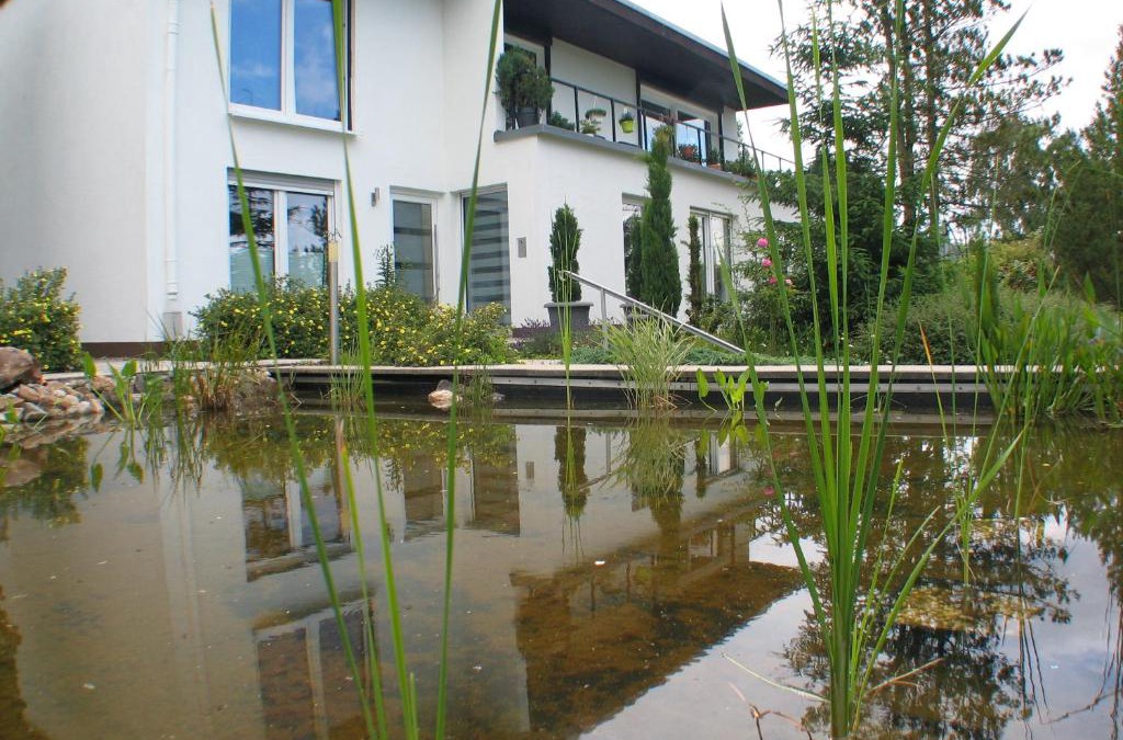 Zierenberg Apartment | Ferienwohnung in Waldrandlage