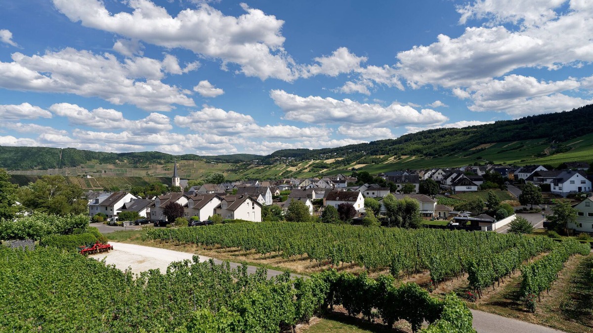Leiwen Condo | Ferienwohnung "laurentiusblick" mit Panoramablick in den Weinbergen von Leiwen