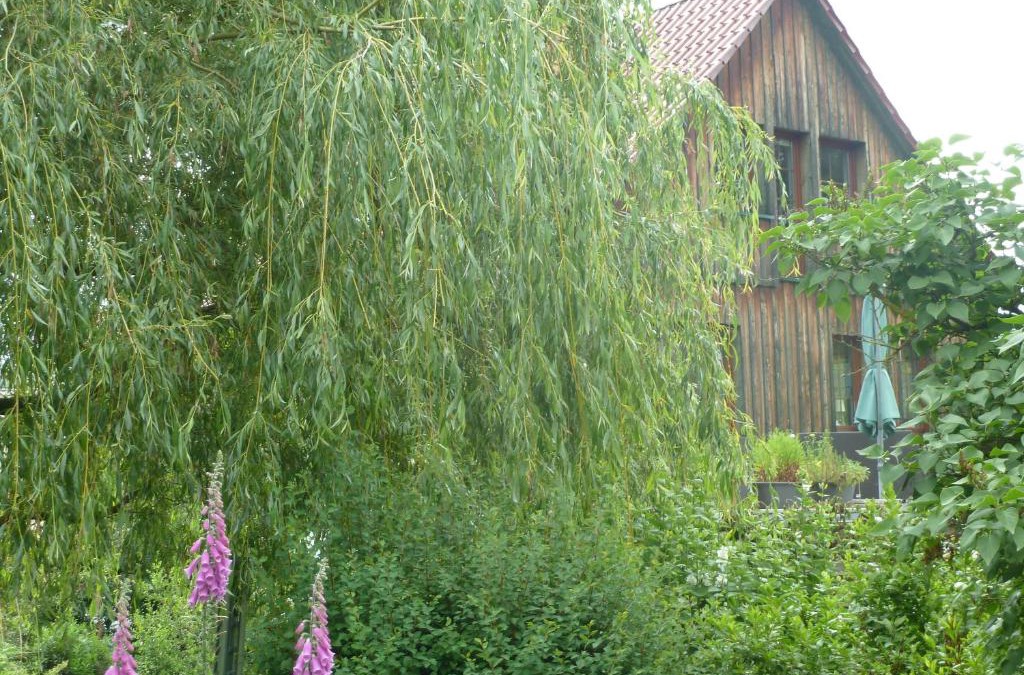 Elmenthal Apartment | Ferienwohnung Lotti