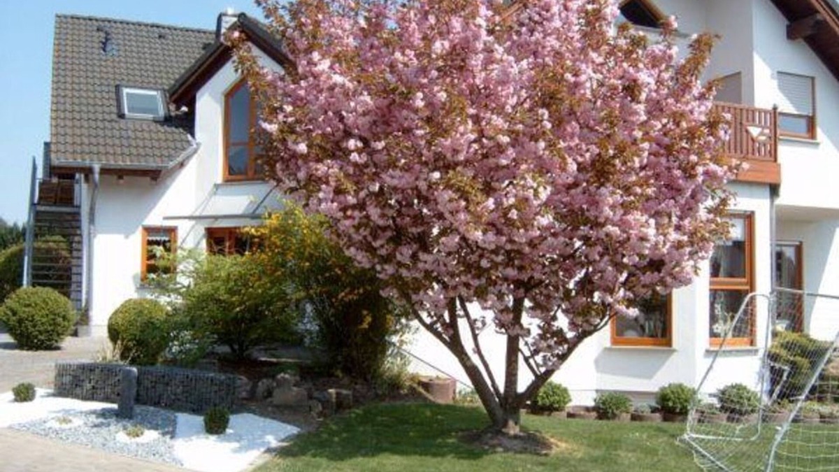 Beltheim Apartment | Ferienwohnung mit Herz - Appartement/fewo, Dusche, WC, Neuwertig