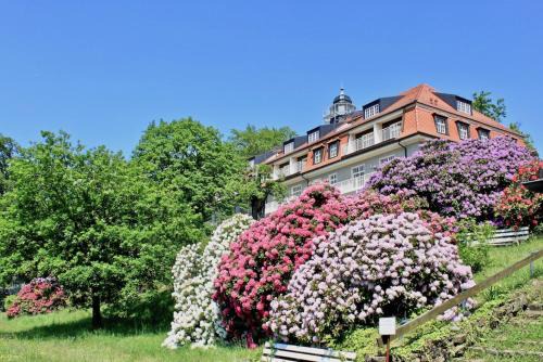 Loschwitz Apartment | Ferienwohnung Natur und Kunst