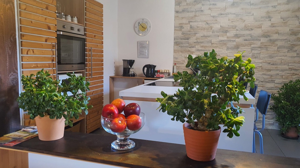 Thanheim Apartment | Ferienwohnung Rabus, 90qm, 1 Schlafzimmer, Max. 8 Personen