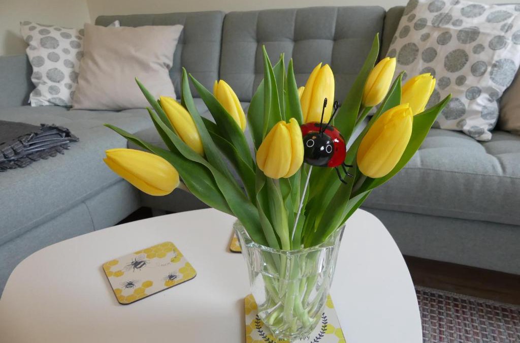 Hamelin Apartment | Ferienwohnung Sünteltraum