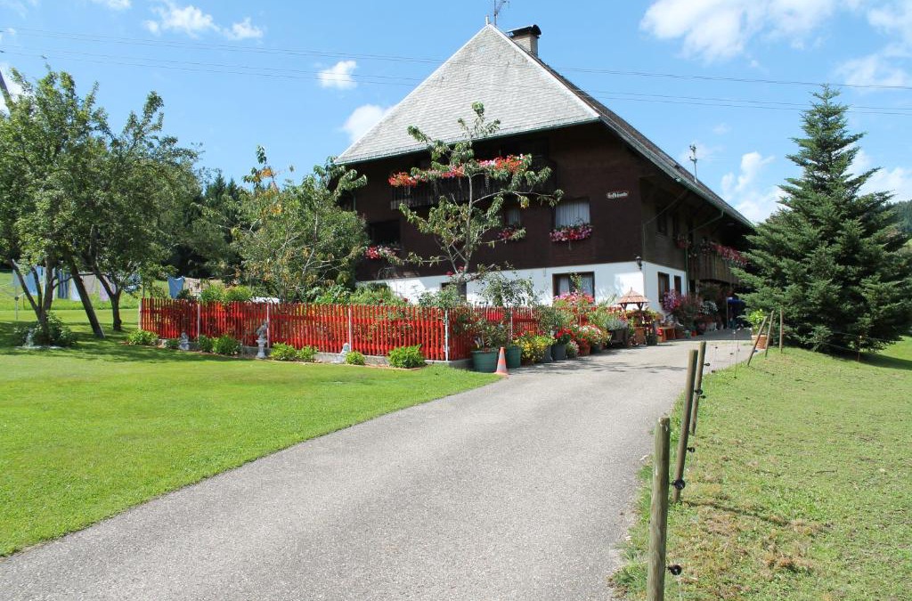 Schwarzenbach Apartment | Ferienwohnung Schwarzwaldhof