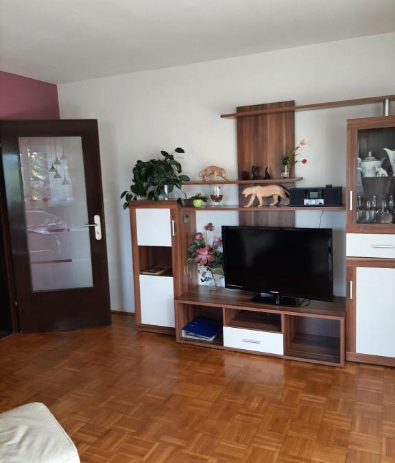 Naila Apartment | Ferienwohnung Schmidt