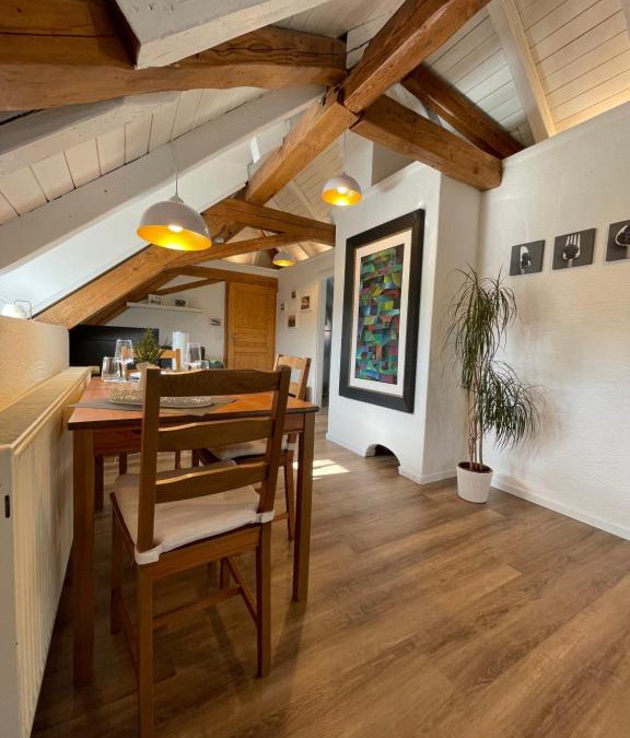 Waggershausen Apartment | Ferienwohnung Schneider Friedrichshafen