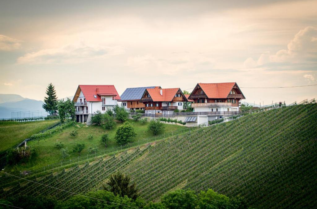 Eichberg-Trautenburg Apartment | Ferienwohnung Traumaussicht