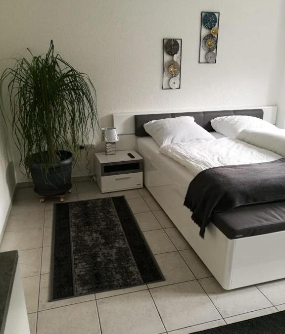 Korbach Apartment | Ferienwohnung "Vier Pfoten" in Korbach