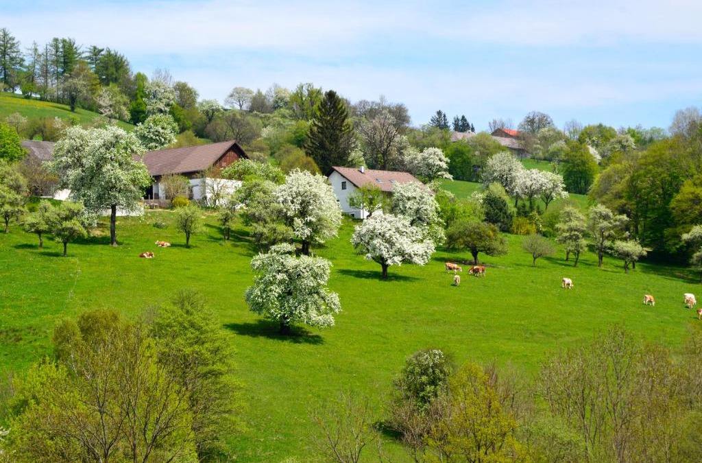 Stossing Apartment | Ferienwohnung Vonwald