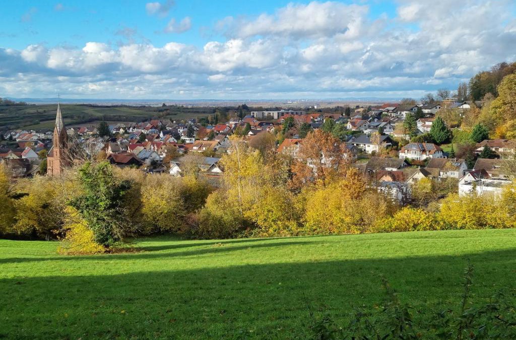 Friesenheim Apartment | Ferienwohnung Waldblick
