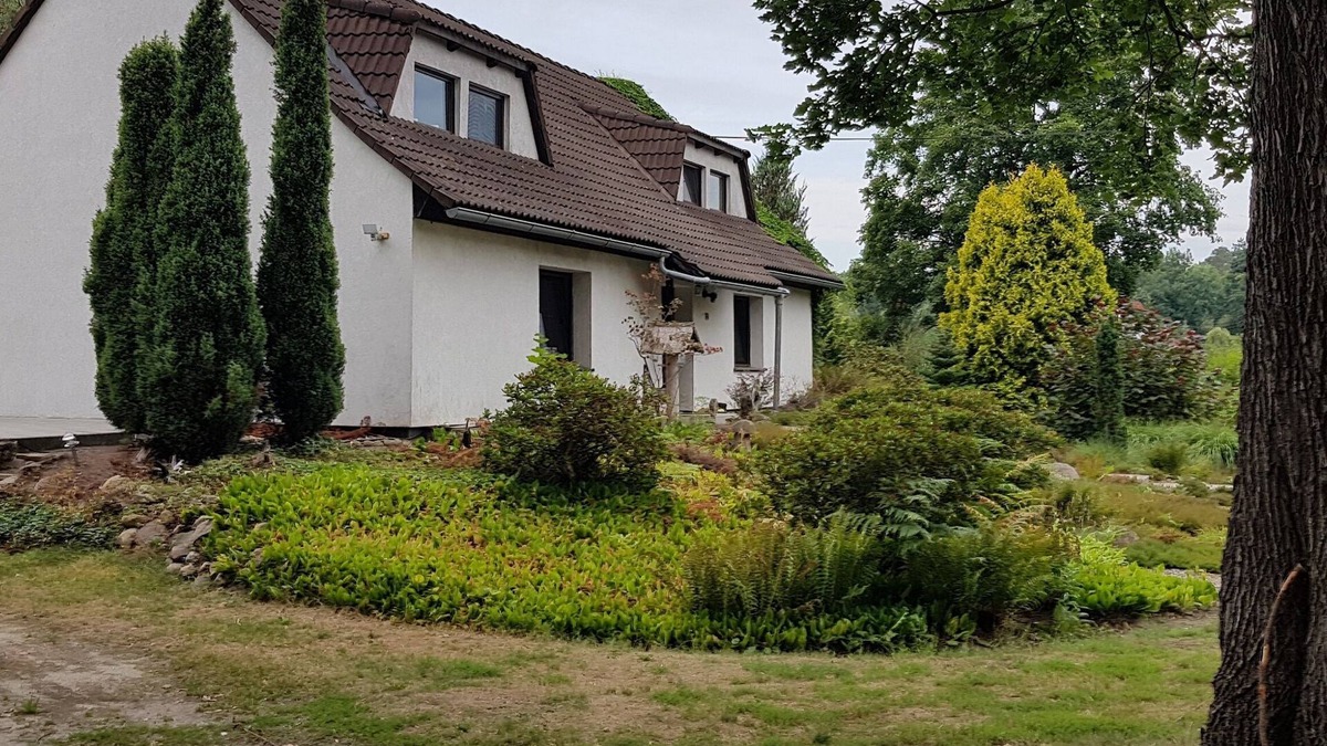 Lug Apartment | Ferienwohnung "waldfrieden"