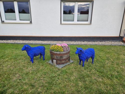 Rheinsberg Apartment | Ferienwohnung zu den Blauen Schafen