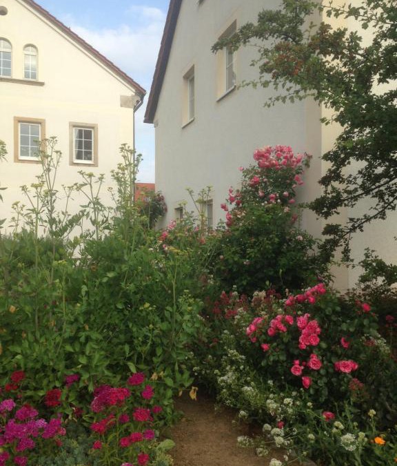 Kobelsdorf Apartment | Ferienwohnung Zweinig 01