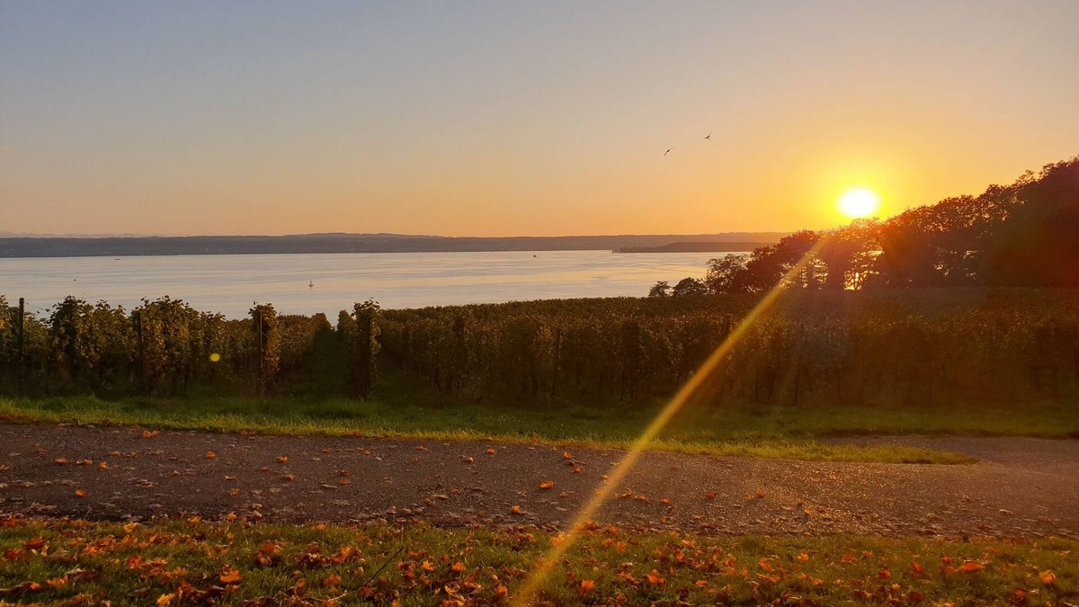 Rengetsweiler Apartment | Ferienwohnung Zwischen Bodensee und Donau