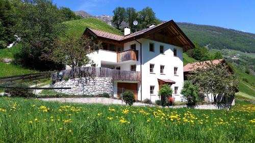 Meiern Apartment | Ferienwohnungen Auhaus