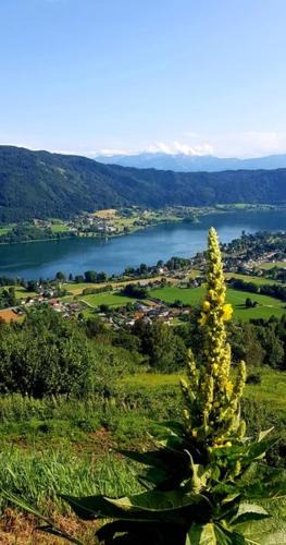 Altossiach Apartment | Ferienwohnungen Claudia