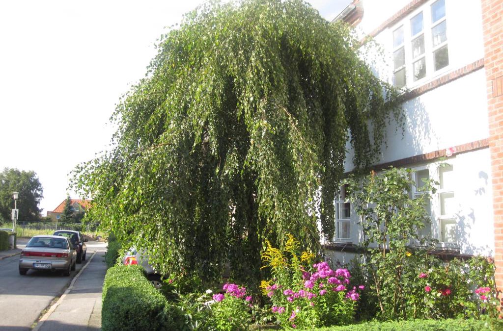 Husum Apartment | Ferienwohnungen Hebbel
