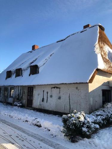 Oldersbek Apartment | Ferienwohnungen im Reetdachhaus