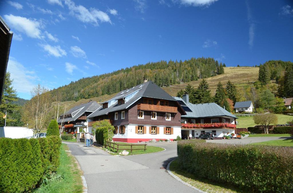 Menzenschwand-Hinterdorf Apartment | Ferienwohnungen Sternenthal