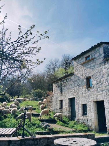 Vazerac House | Ferme de Lacassagne