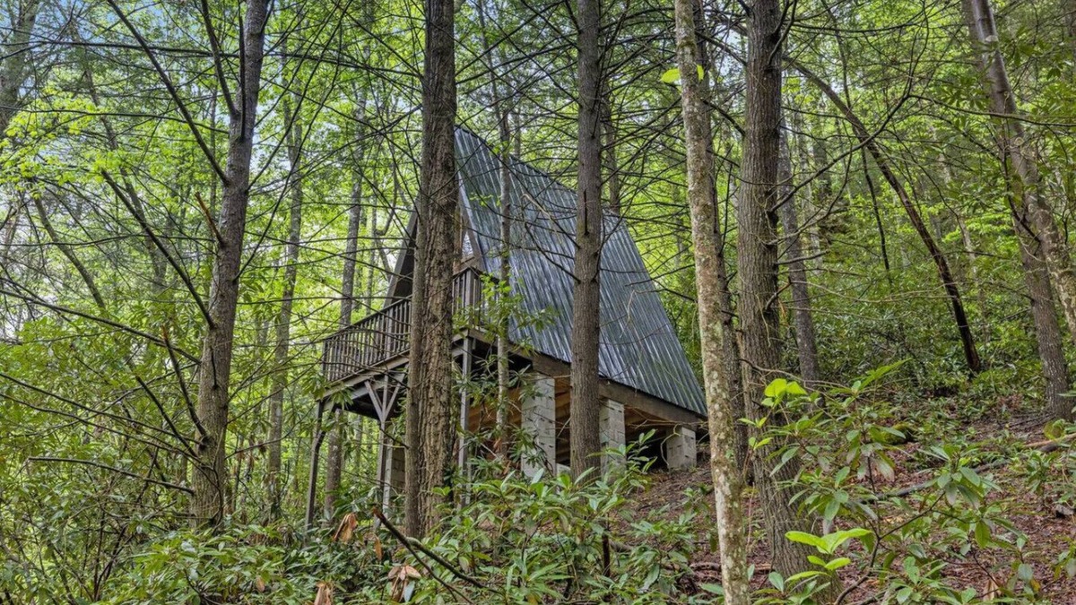 Pine Ridge Apartment | Fern Grove - Camping Cabin Retreat in RRG KY!