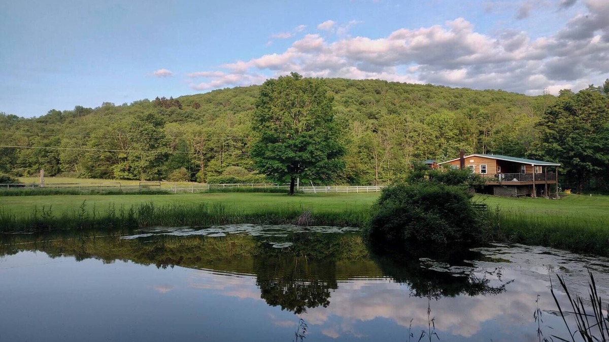 Fishs Eddy House | Fern Hollow Country Home