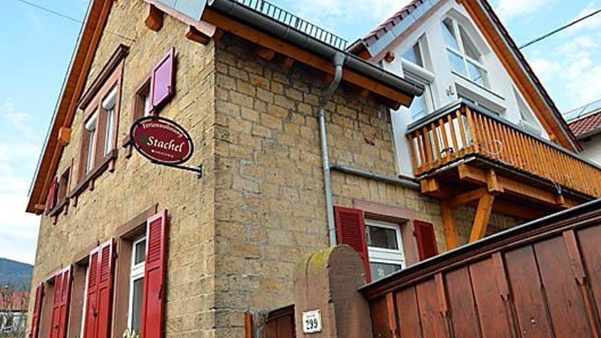 Neustadt-Hambach Apartment | Fewo Vino - House sting