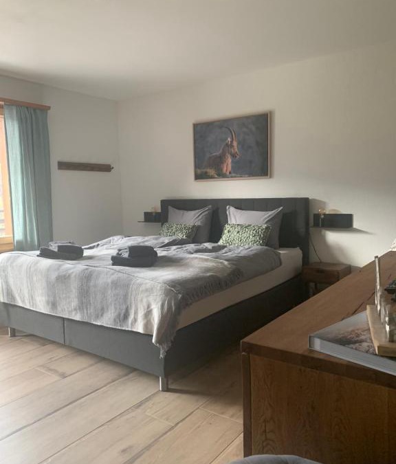 Klosters Dorf Apartment | FeWo Gotschna Haus Bargis