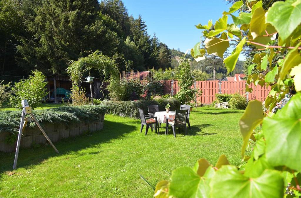 Obstfelderschmiede Apartment | FEWO in Bergbahnnähe