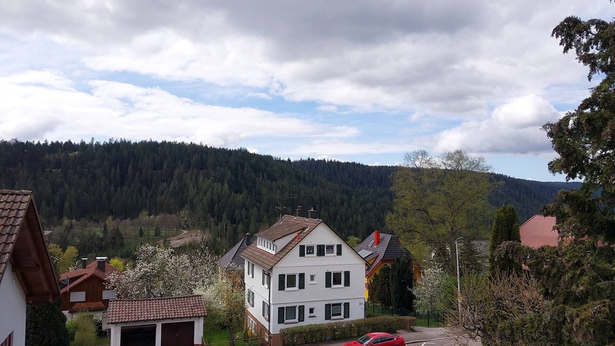 Freudenstadt Apartment | FEWO SALENBERG, Freudenstadt ZENTRUM, 1-5 persons