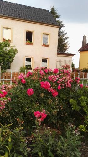 Meissen Apartment | FeWo Strohbach