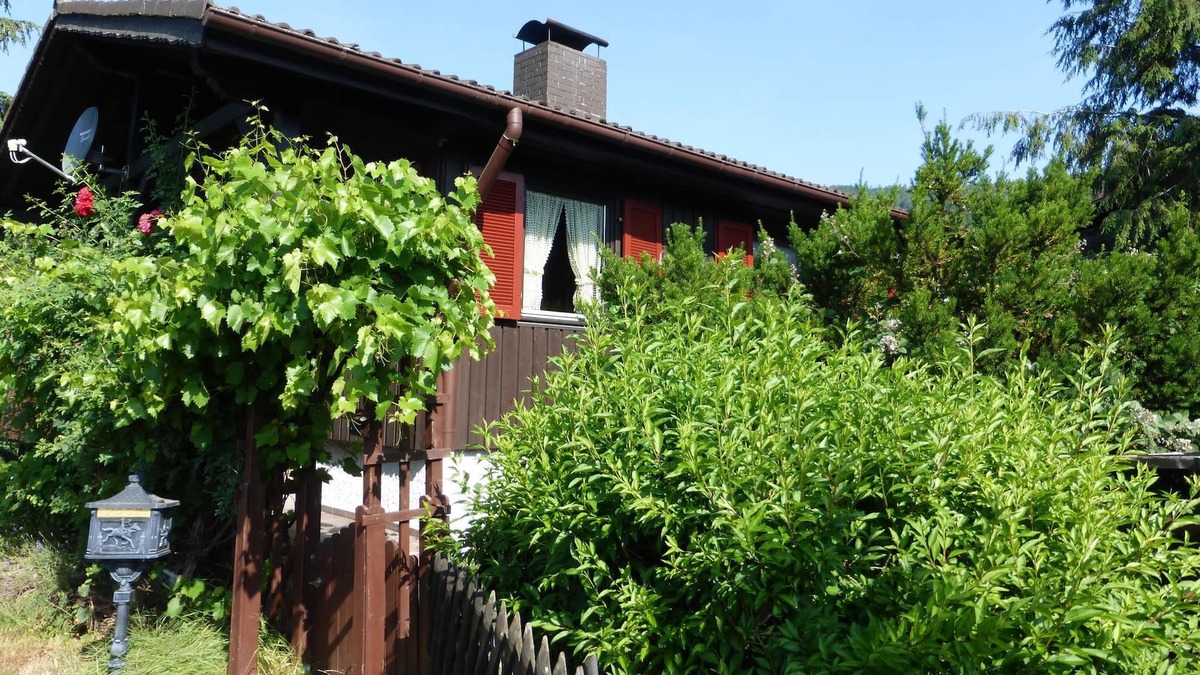 Kirchzell Apartment | Fewo Tannenhof 1 - Tannenhof 1