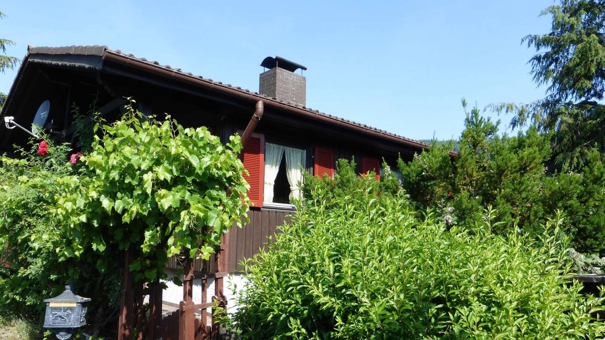 Kirchzell Apartment | Fewo Tannenhof 2 - Tannenhof 2