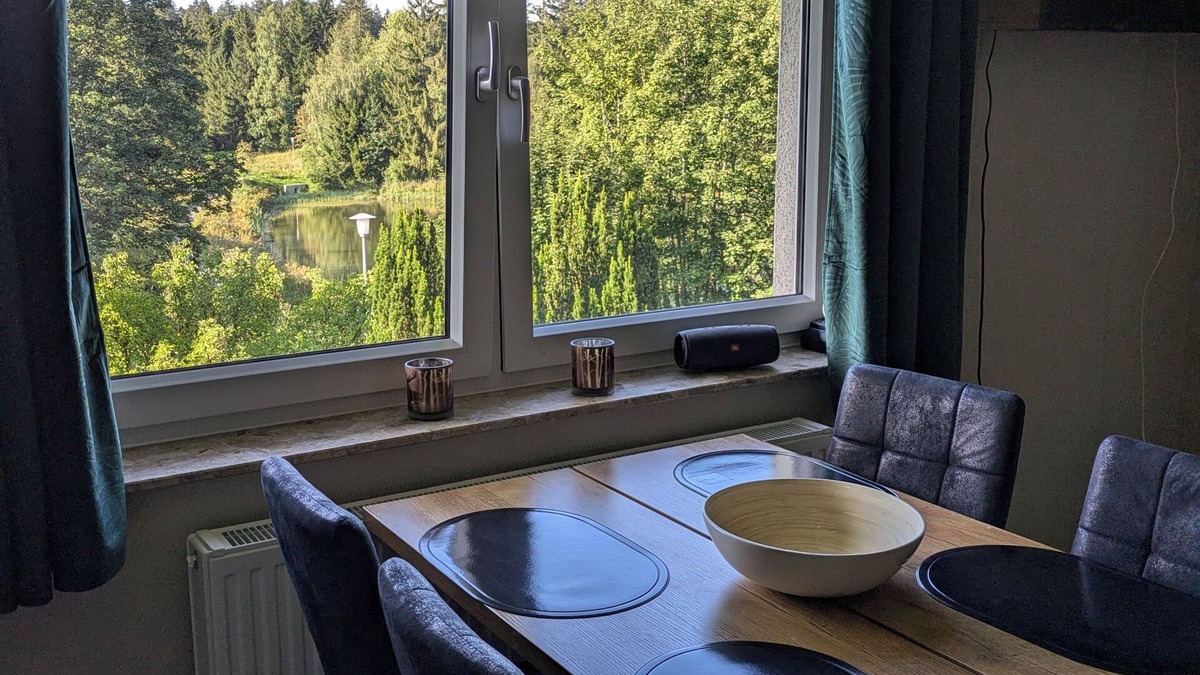 Bockswiese Apartment | FeWo Waldseeblick directly on the Liebesbankweg and Oberharzer Wasserregal