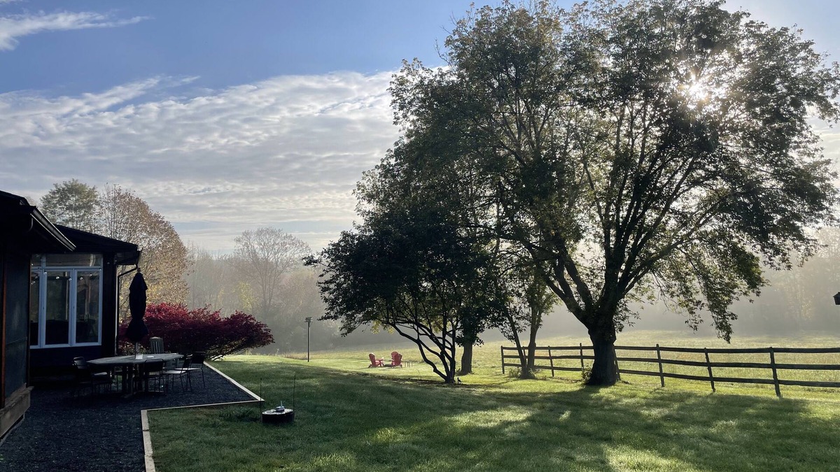 Canaan House | Fickle Fox Farm. Daffodils are popping their heads up, summer is coming!