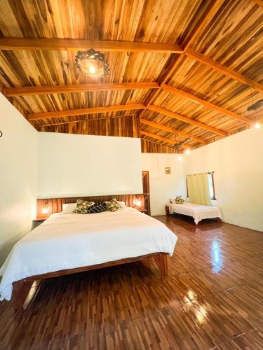 Pital Apartment | Ficus house